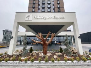 Holiday Inn Express - Ankara - Airport by IHG